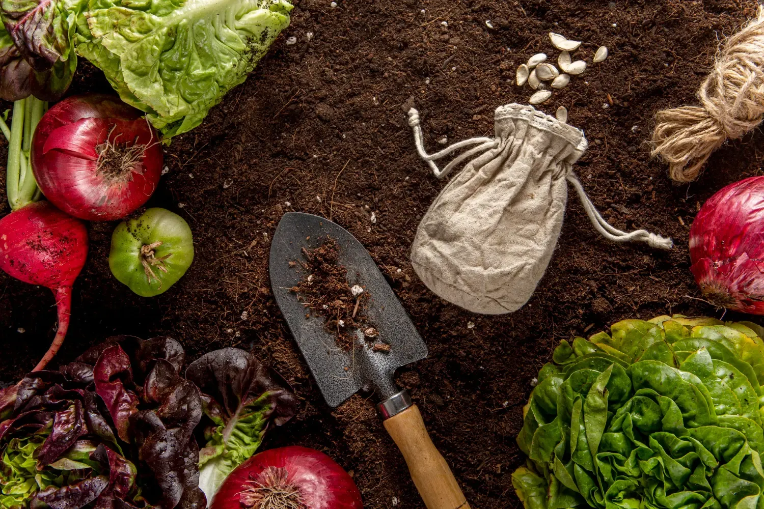 Faire un potager chez soit: comment bien commencer ?