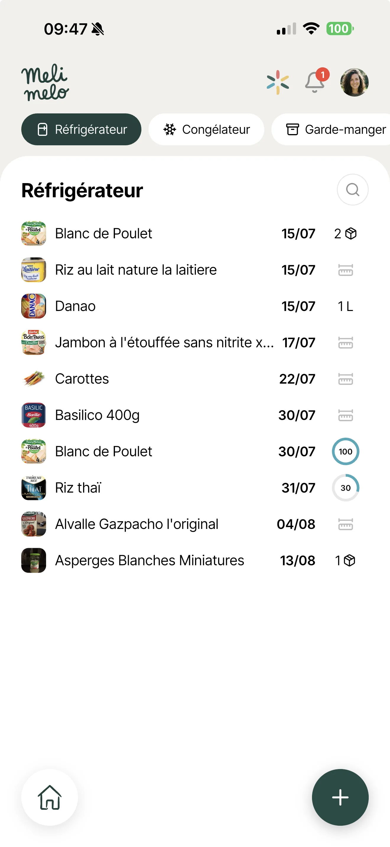 Module Frigo Melimelo