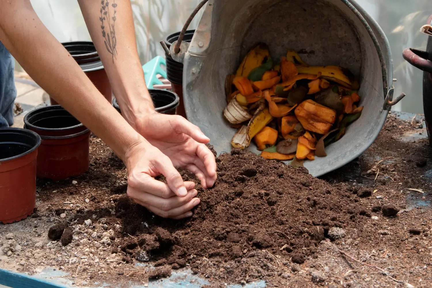 Quels aliments vont au compost ? nos conseils et astuces !